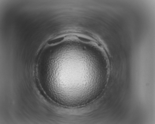 X0000083020010200702091329