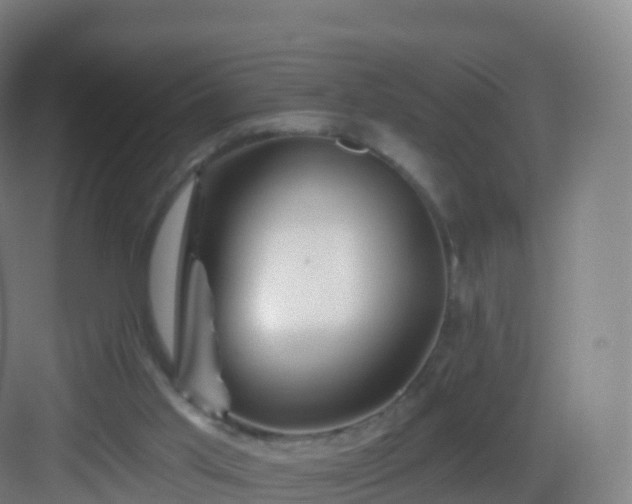 X0000083020013200702091329
