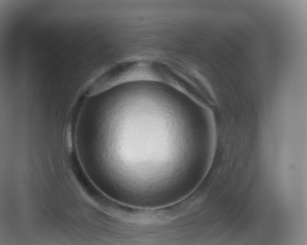 X0000083020020200702091329