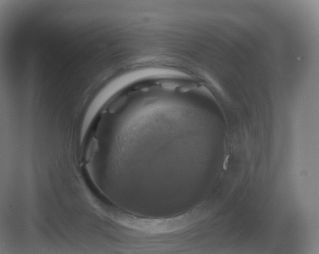 X0000083020023200702091329