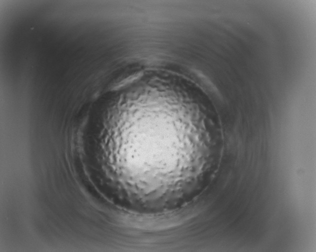X0000083020026200702091329