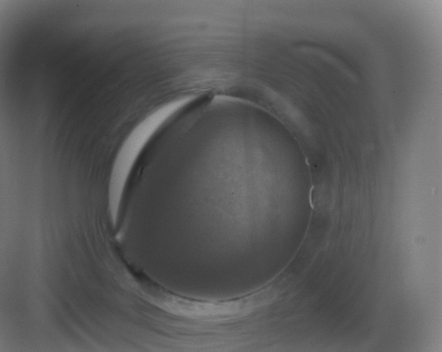 X0000083020027200702091329
