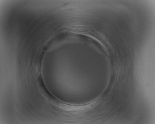 X0000083020031200702091328