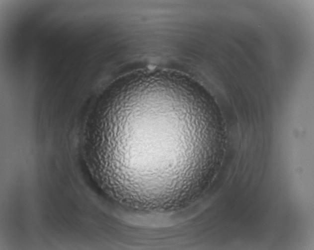 X0000083020032200702091328