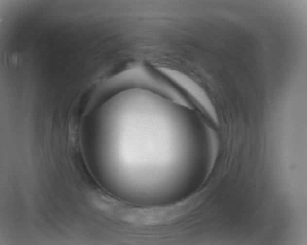 X0000083020033200702091328