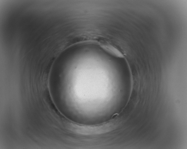 X0000083020034200702091328