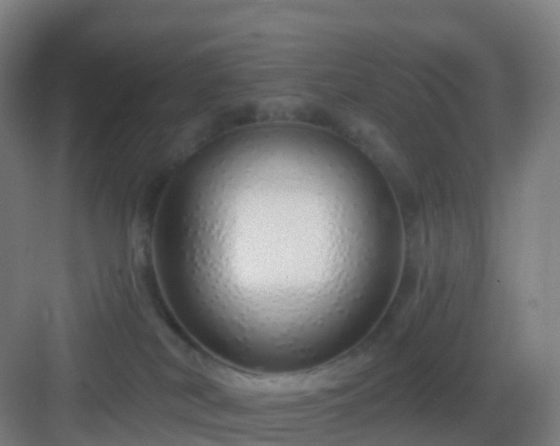 X0000083020038200702091328