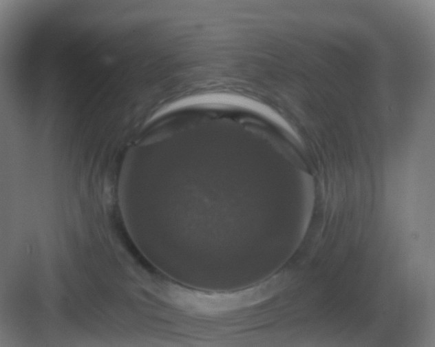 X0000083020039200702091328