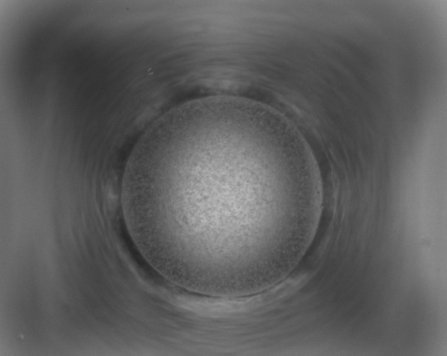 X0000083020040200702091328