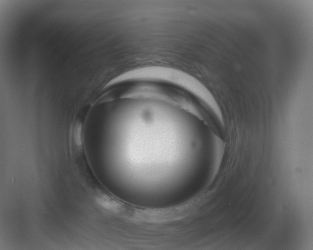 X0000083020041200702091328