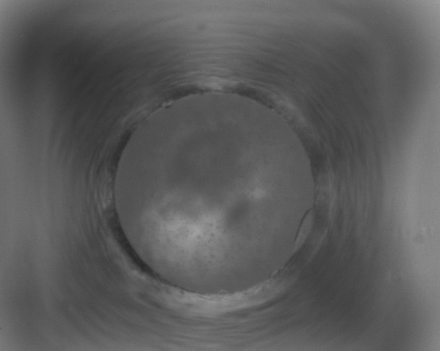 X0000083020043200702091328