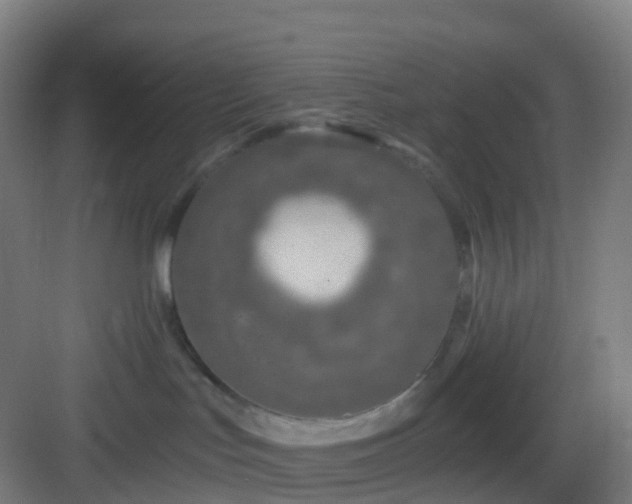 X0000083020047200702091328