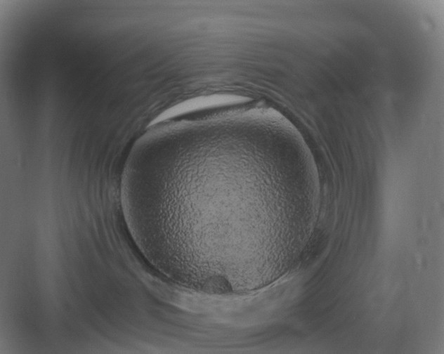 X0000083020048200702091328