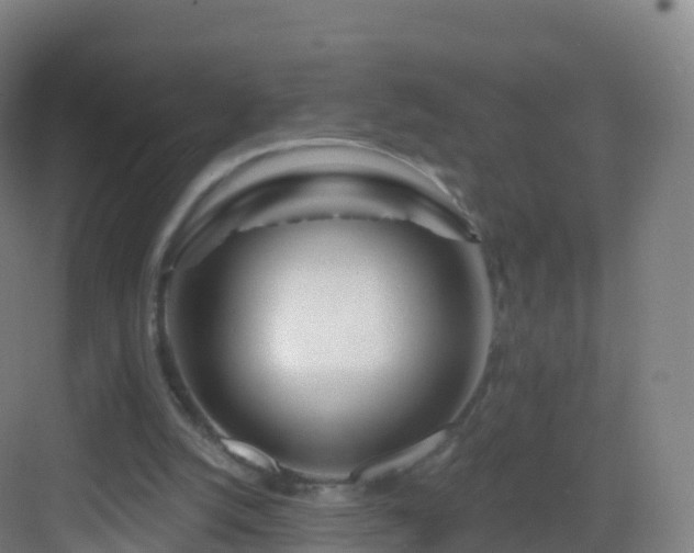 X0000083020056200702091327