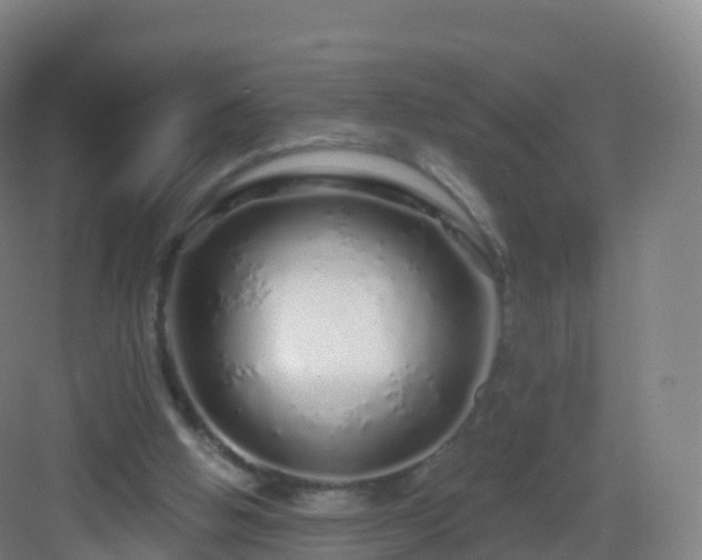 X0000083020058200702091327