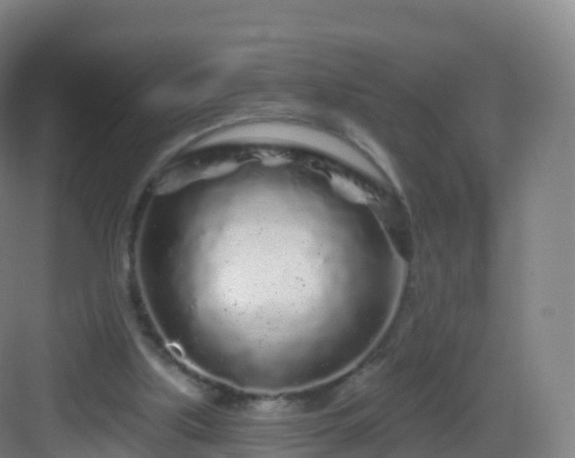 X0000083020059200702091328