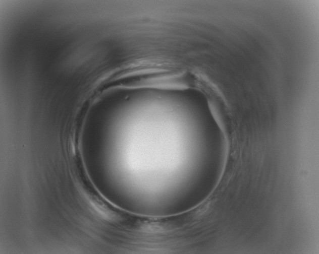 X0000083020062200702091328