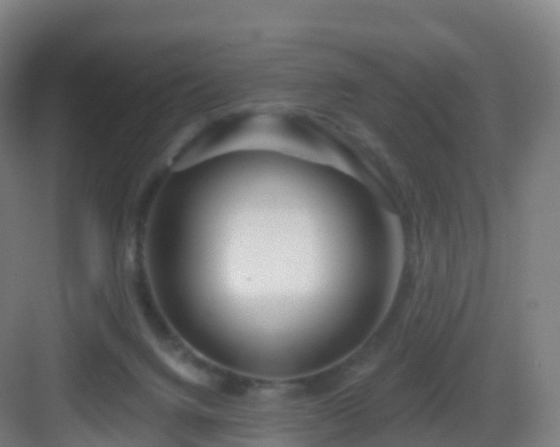 X0000083020072200702091328