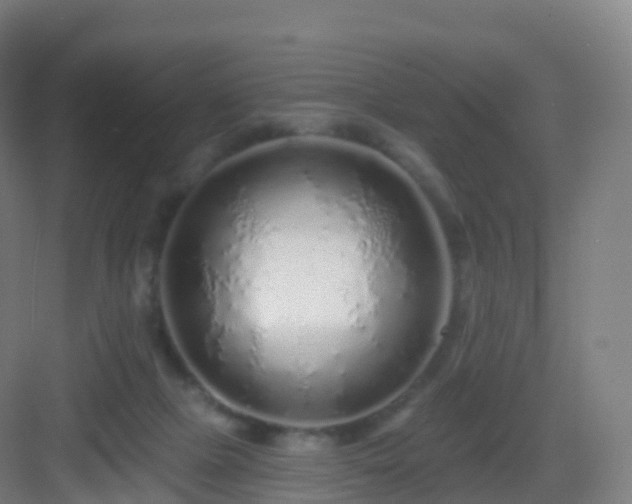 X0000083020073200702091328
