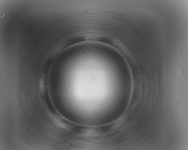 X0000083020074200702091328