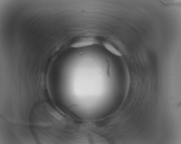 X0000083020077200702091328