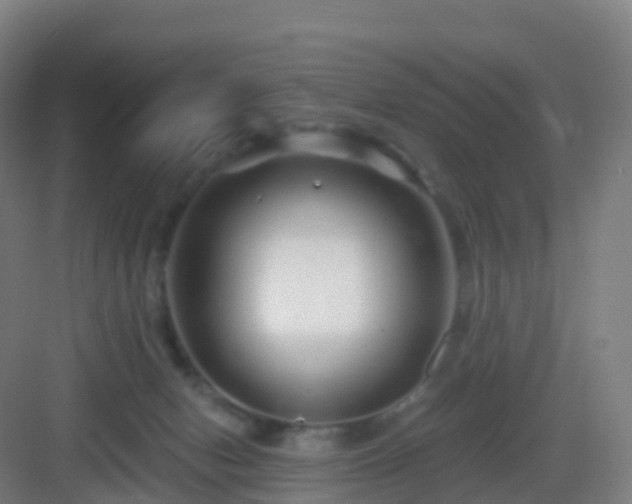 X0000083020078200702091328