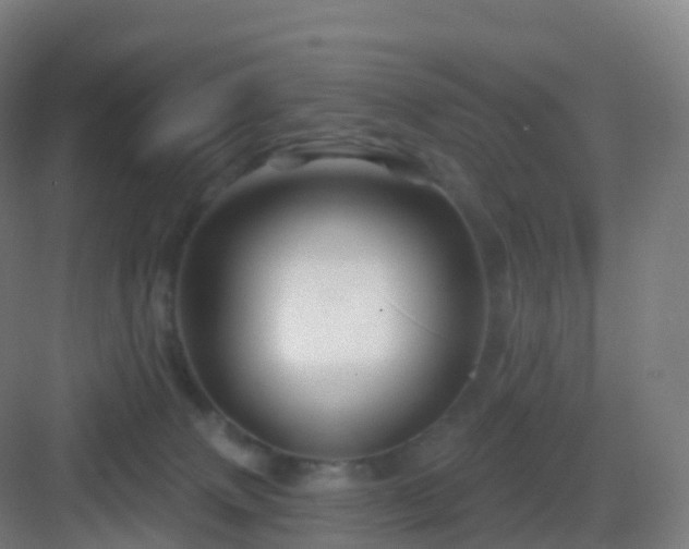 X0000083020083200702091328