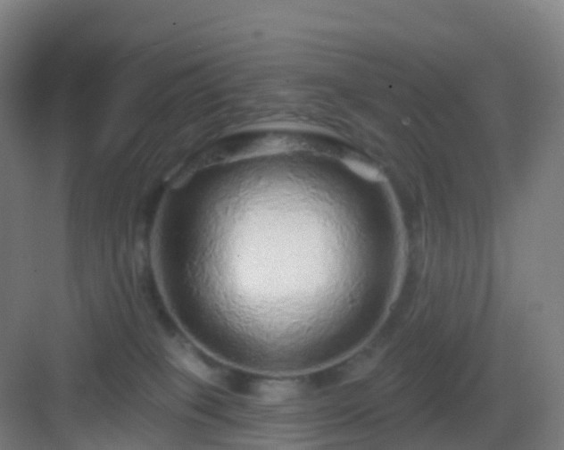 X0000083020085200702091328