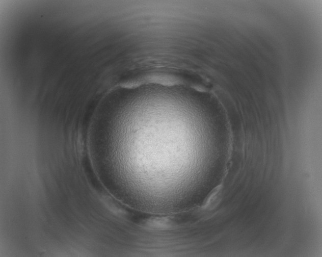 X0000083020086200702091328