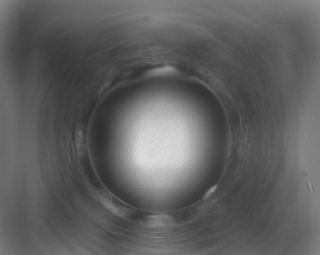 X0000083020087200702091328