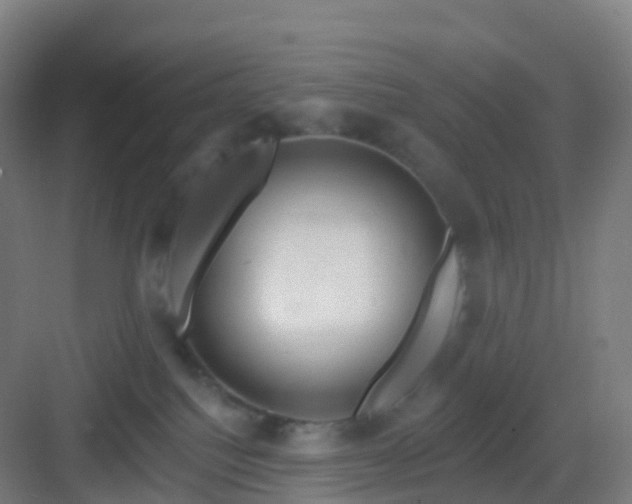 X0000083020088200702091328