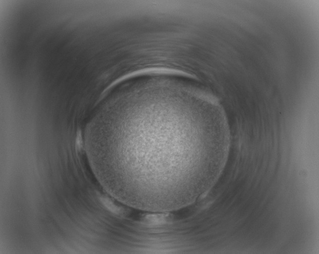 X0000083020089200702091328