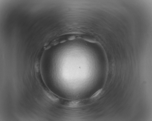 X0000083020090200702091328