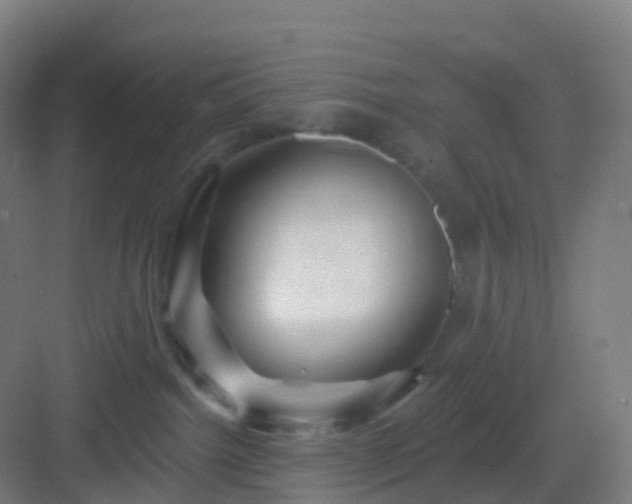 X0000083020092200702091328