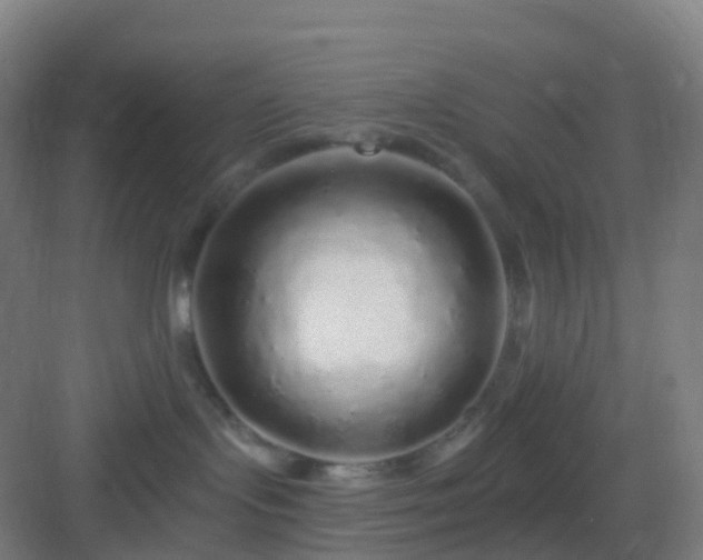 X0000083020095200702091328