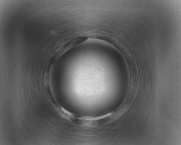 X0000083020096200702091328