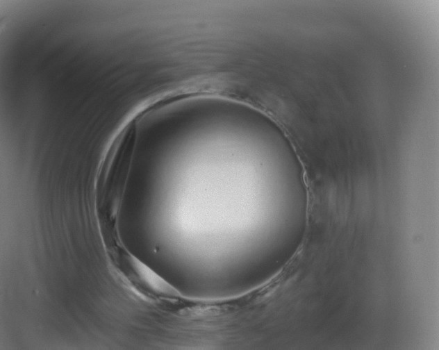 X0000083020100200702091327