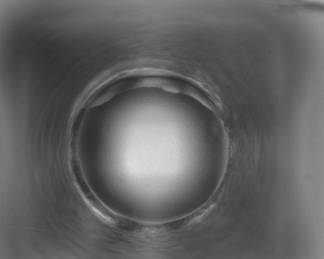 X0000083020101200702091327