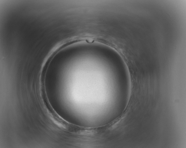 X0000083020102200702091327