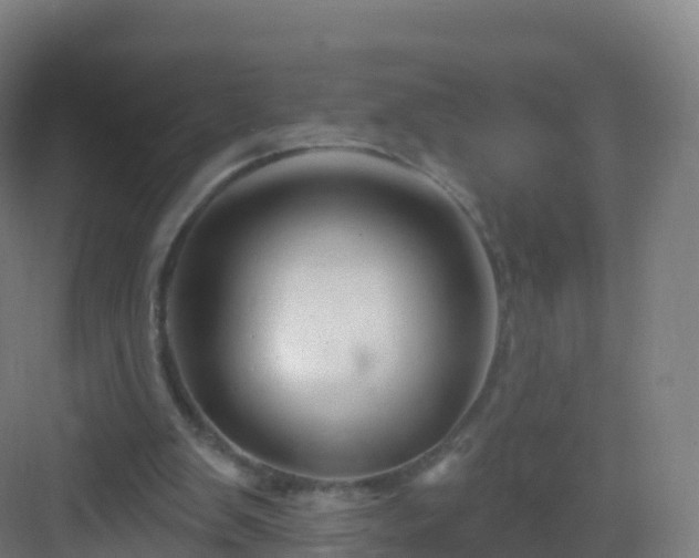 X0000083020103200702091327