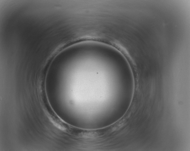X0000083020106200702091327