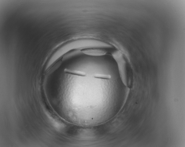 X0000083020107200702091327