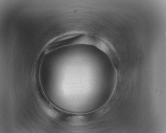 X0000083020108200702091327