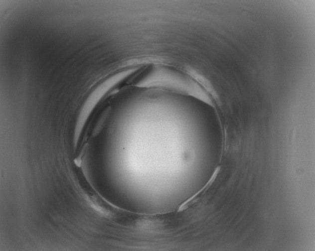 X0000083020109200702091327