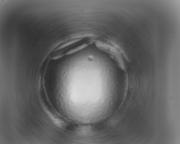 X0000083020110200702091327