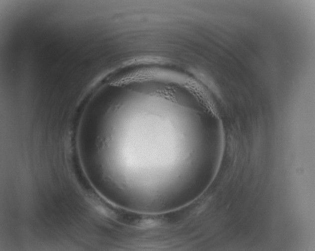 X0000083020111200702091327