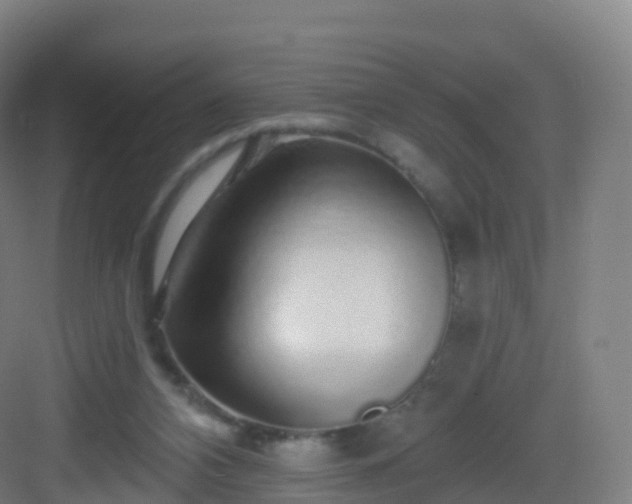 X0000083020112200702091327