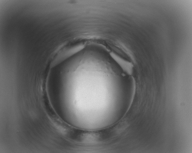 X0000083020115200702091327