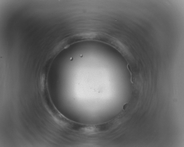 X0000083020118200702091327