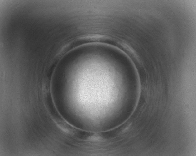 X0000083020119200702091327